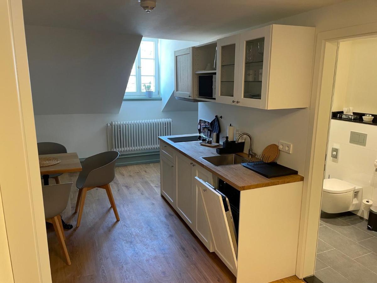 Palmbraeu Altstadt Appartments Хайделберг Екстериор снимка