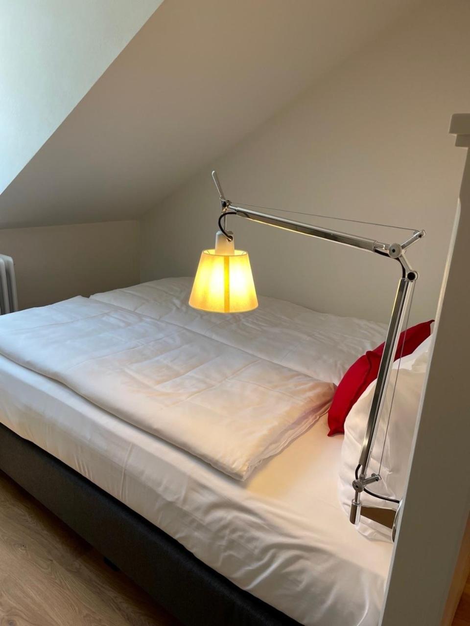 Palmbraeu Altstadt Appartments Хайделберг Екстериор снимка